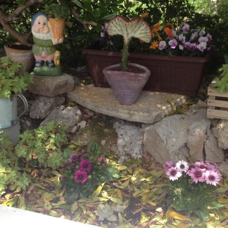 Apartment Alta Makarska Dış mekan fotoğraf